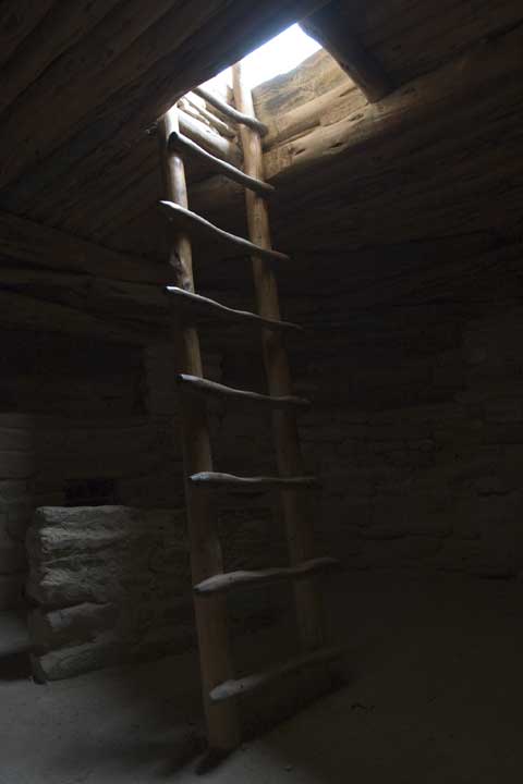 My favorite pictures