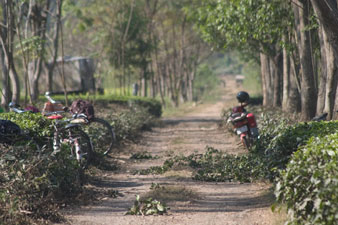 Moraghat Farm Photographs